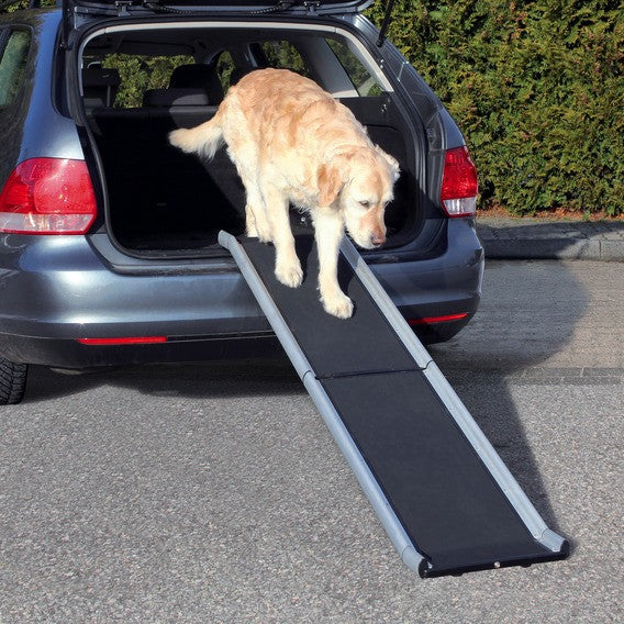 Aluminum 2024 pet ramp