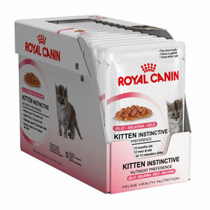 Royal canin retailer kitten jelly