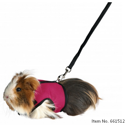 Soft Harness with Leash petshopmalta