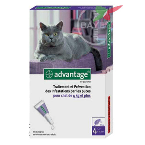 Advantage for cats 4 2024 pack