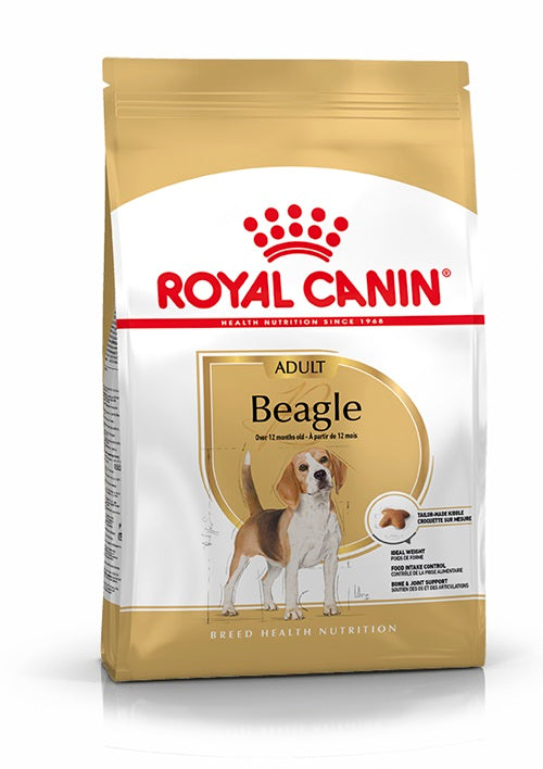 Adult lemon hot sale beagle