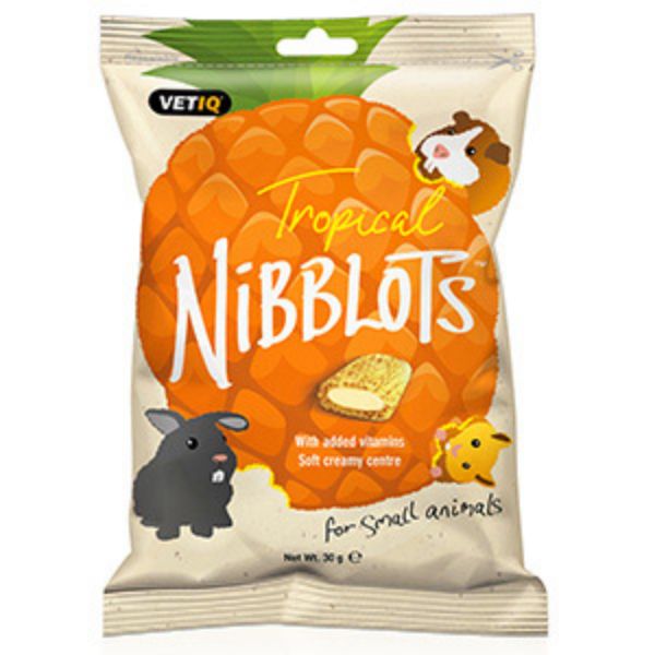 Vet IQ Treats Nibblots, Tropical, 30g