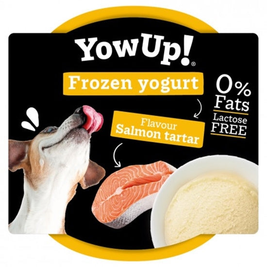 Yow Up Dog Salmon Tartare Frozen Yogurt