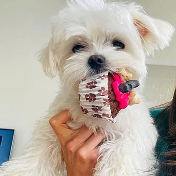 The Barking Bakery Carob Woofin with Pink Frosting