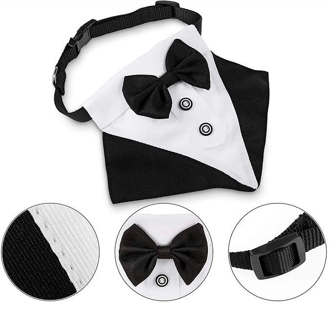 Tuxedo Collar