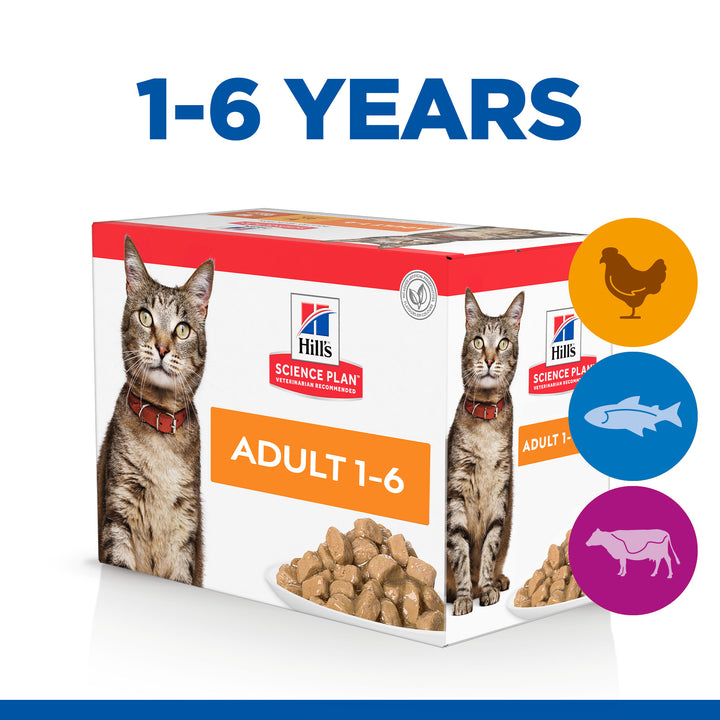 Science plan Feline Favourite Selection 12 pack pouches (12x85g)