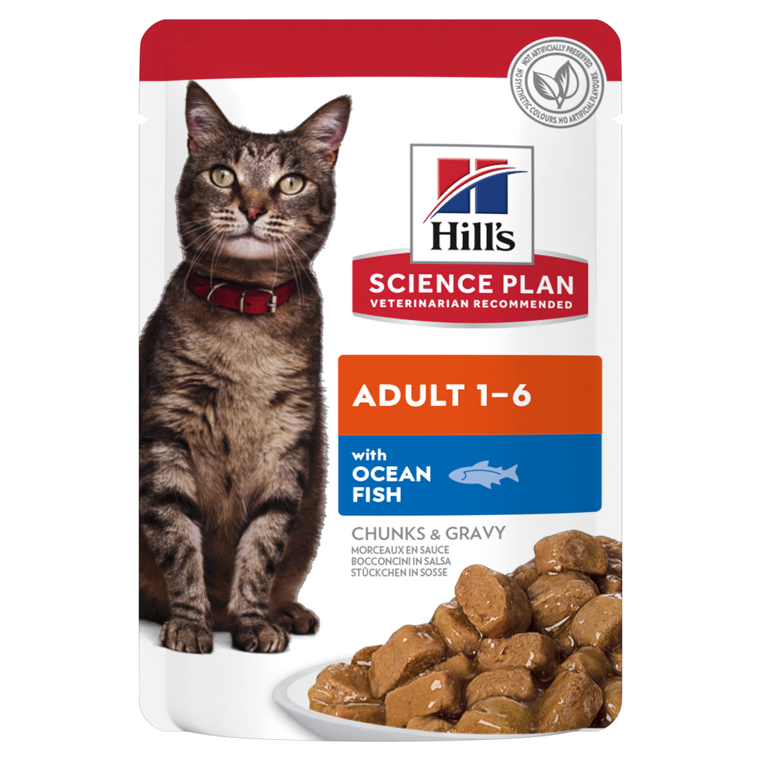 Science plan Feline Ocean Fish 12 pack pouches (12x85g)