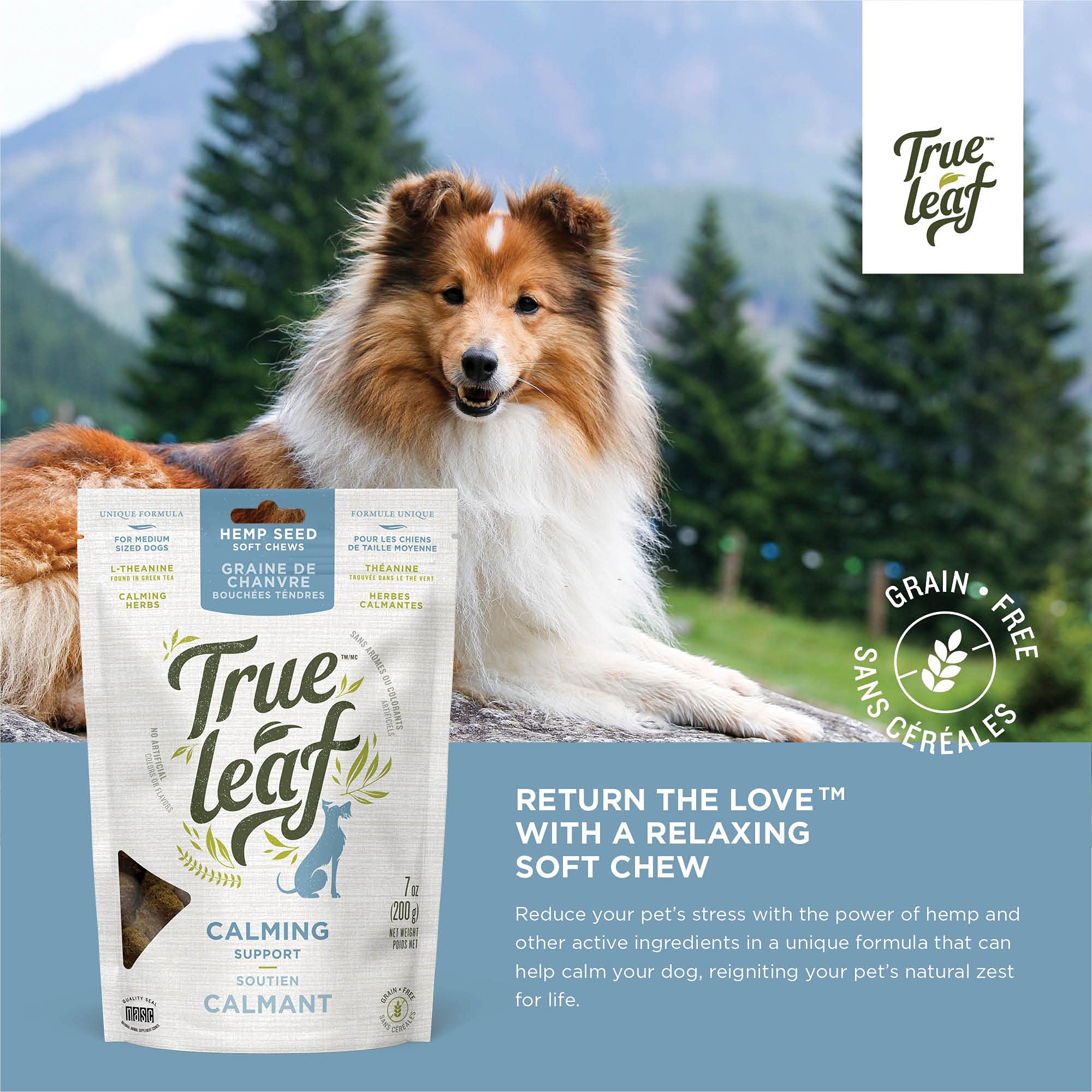 Hills calming outlet dog food