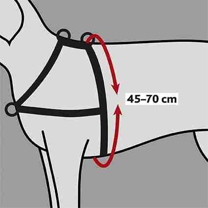 Lead'n'Walk Soft Harness