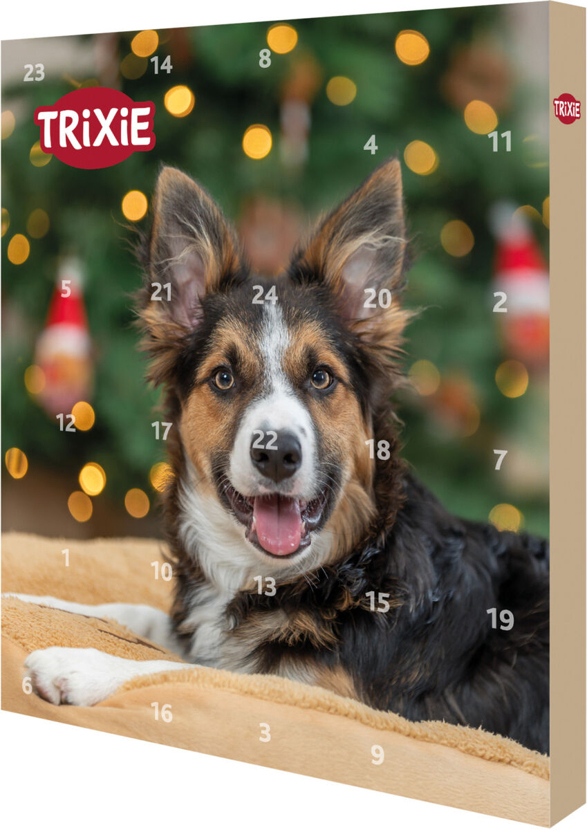 Xmas Advent Calendar for Dogs