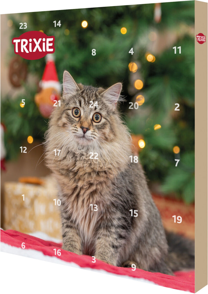 Xmas Advent Calendar for Cats