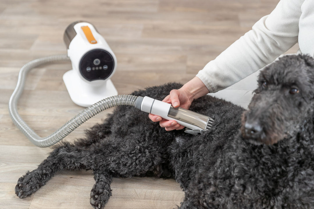 Clipper Set with fur vacuum