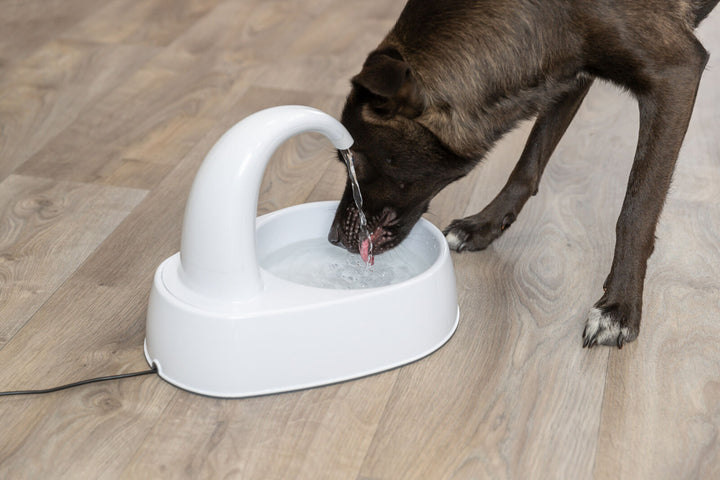 Drinking Fountain Curved Stream