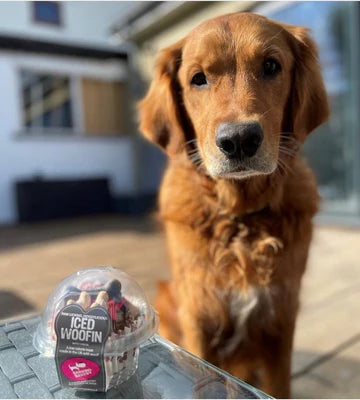 The Barking Bakery Carob Woofin with Pink Frosting