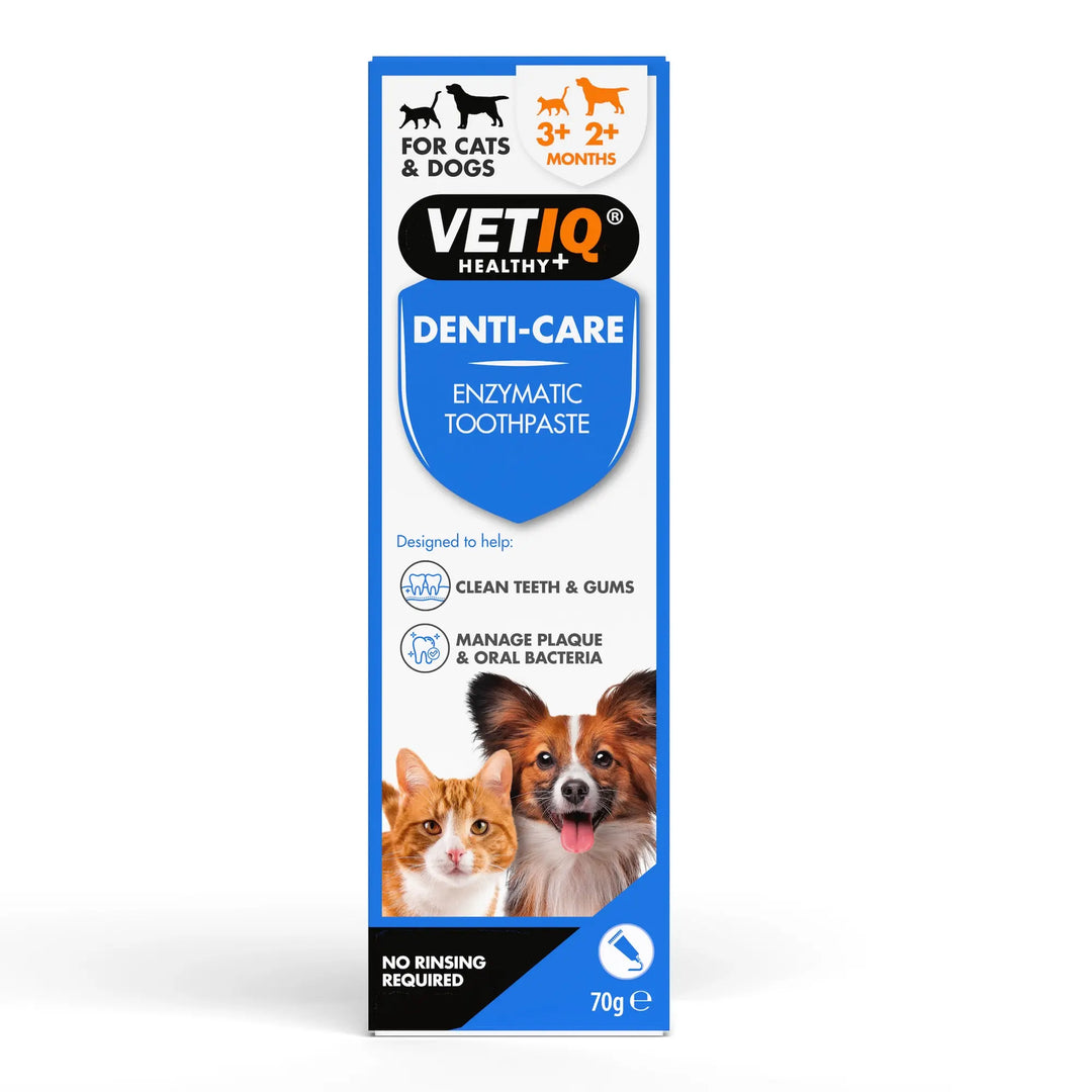 Vet IQ Denti-Care Kit (Enzymatic)