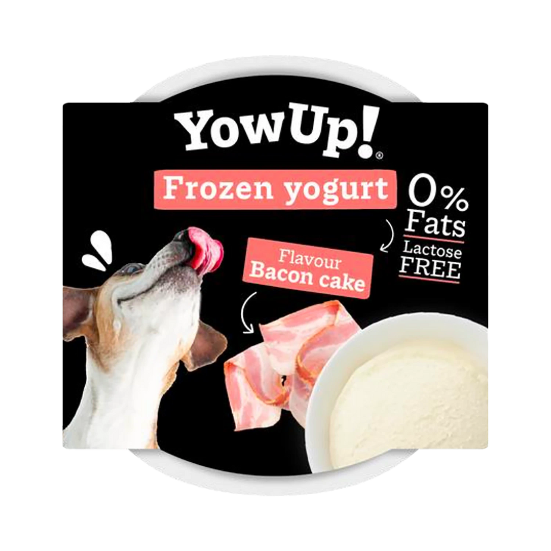 Yow Up Dog Bacon Cake Frozen Yogurt