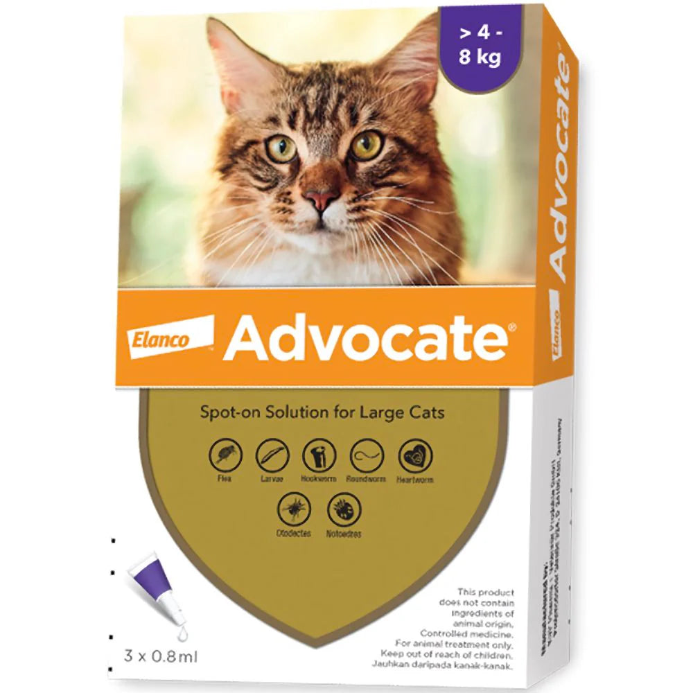 Advocate for Cats over 4 Kgs