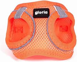 Gloria Air Mesh Dog Harness - Orange