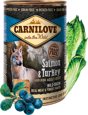 Carnilove Wild Adult Salmon & Turkey