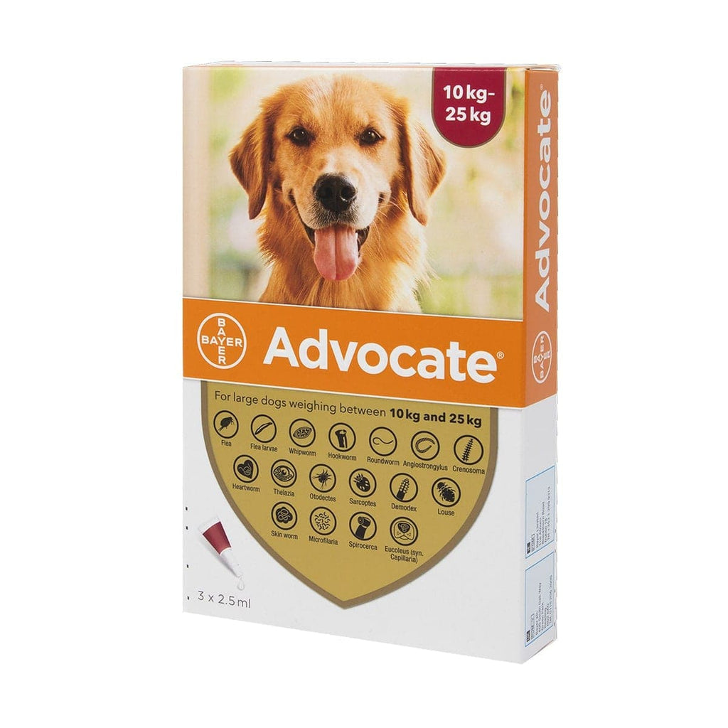 Advocate for dogs for 2024 sale